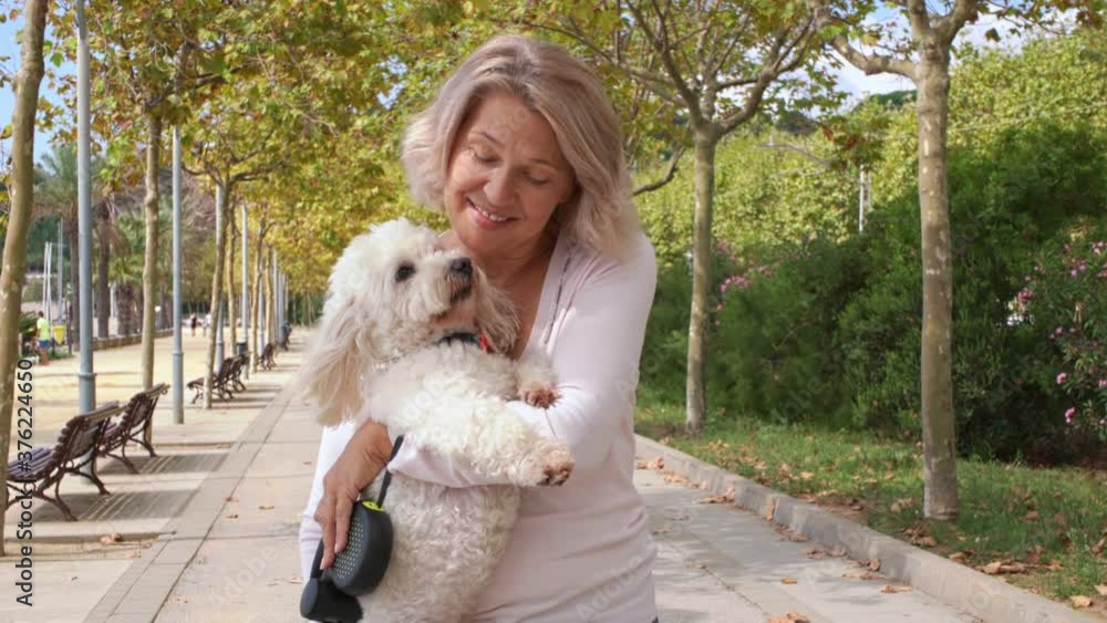 Elderly woman walking with a dog outdoors Elderly woman walking with a dog outdoors