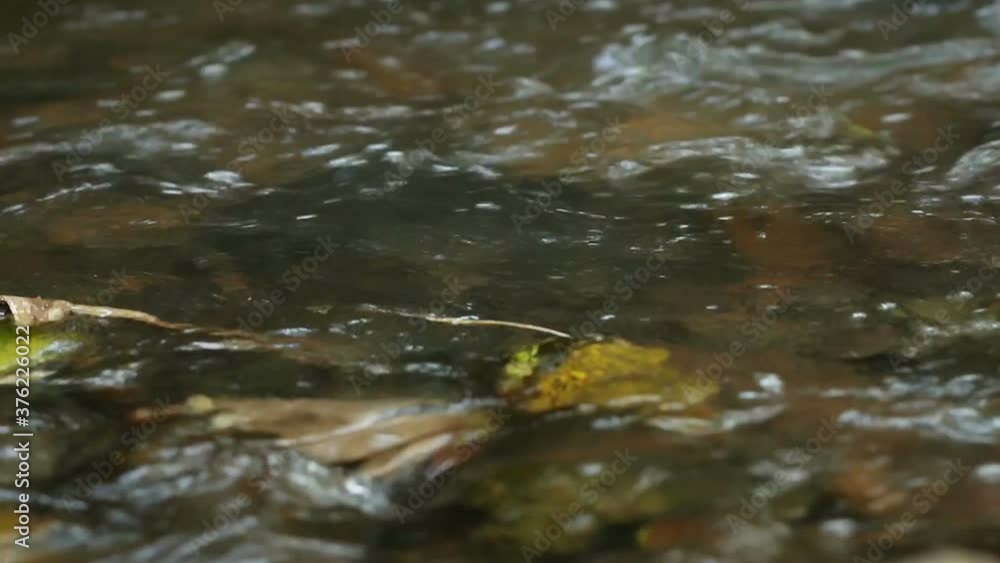 Close up of river flow and splash pan action in mountains as wonderful springtime scenery of countryside Close up of river flow and splash pan action in mountains as wonderful springtime scenery of countryside