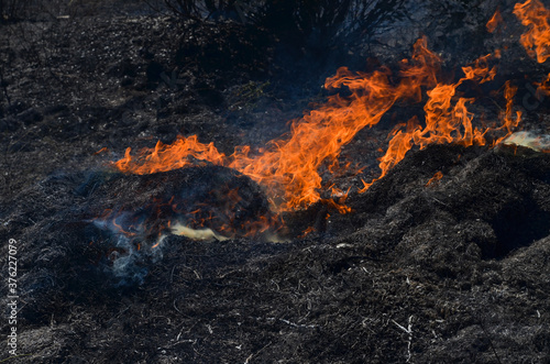 the grass is on fire © Марина Ульянова