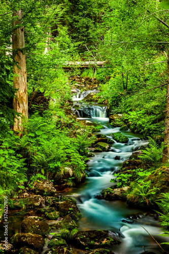 Wildbach im Bayerischen Wald