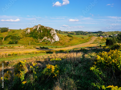 skała srokowa, jerzmanowice- -przeginia, małopolska, jura
 photo