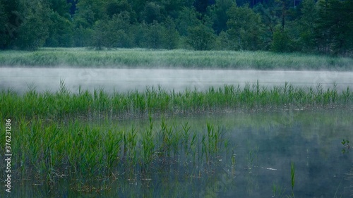 See im Nebel, Wildsee in der Morgendämmerung