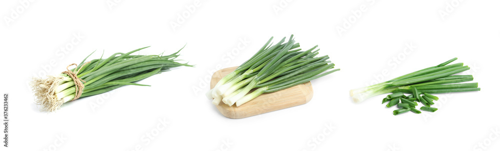 Collage with green spring onions on white background. Banner design