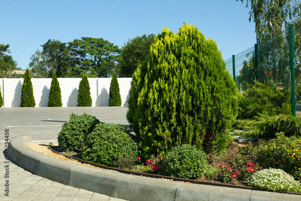 Picturesque view of beautiful green plants on sunny day