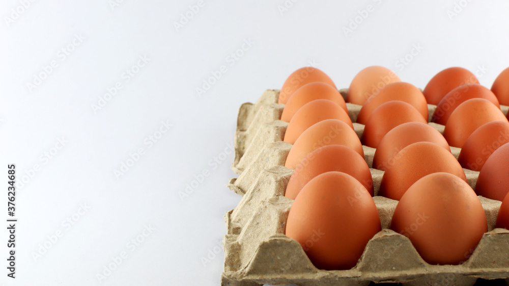 eggs in a carton on a white background. eggs in a carton on a white background.