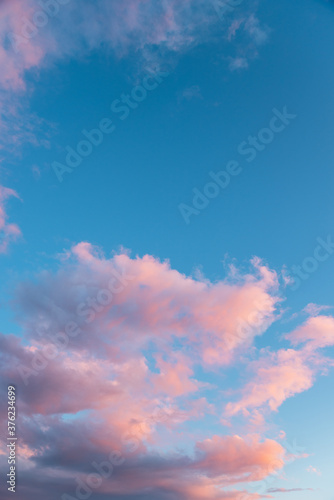 Photography blue sky and fluffy pink clouds at sunset, vertical format and copy space