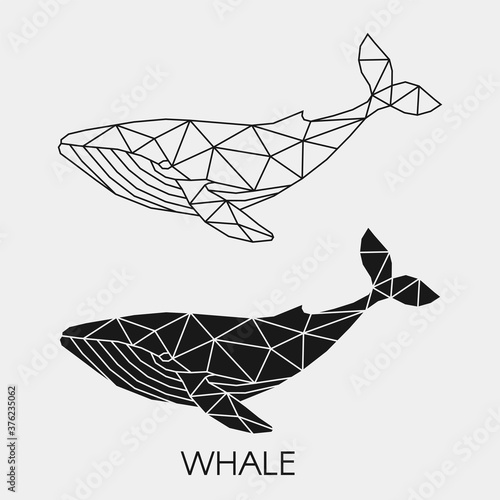 Geometric linear whale. Abstract polygonal ocean animal.  Vector illustration.	
