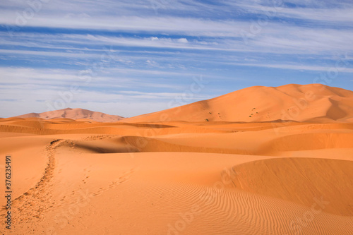 sand dunes in the desert with camel tracks. Morning in the sahara of morocco. Exploring adventerous landscape backgrounds. Golden sand  bright light. Scenic wilderness. 