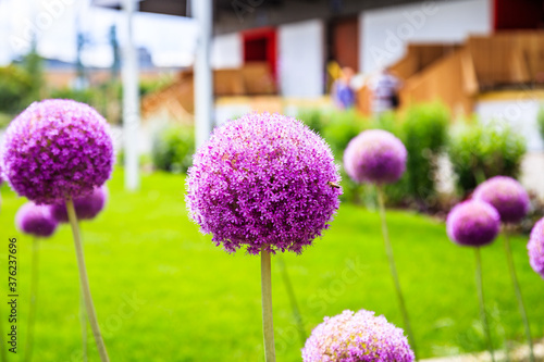 Landschaftsgestaltung im Garten gartenbau gala