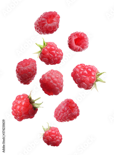 Fresh ripe raspberries falling on white background