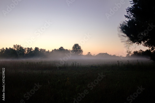 Misty evening over a farmer's field in rural Ontario, Canada during the month of August.