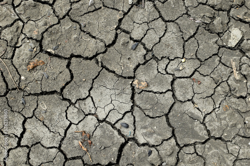Dry gray cracked clay background texture. Dried muddy desert