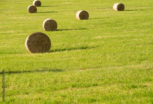 Straw bales on meadow on countryside background.