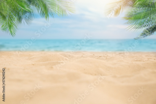 Fototapeta Naklejka Na Ścianę i Meble -  Sandy beach with palms near ocean on sunny day