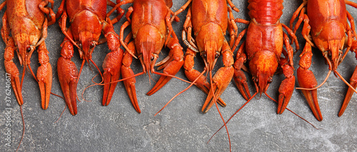 Delicious boiled crayfishes on grey table, flat lay. Banner design photo