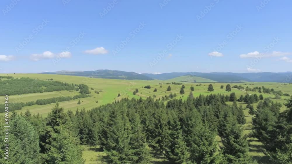 Aerial view, drone camera rotating over pine forest on a sunny day. Aerial view, drone camera rotating over pine forest on a sunny day.