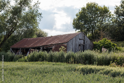 Abandoned farm building left in overgrown weeds on edge of field in countryside 