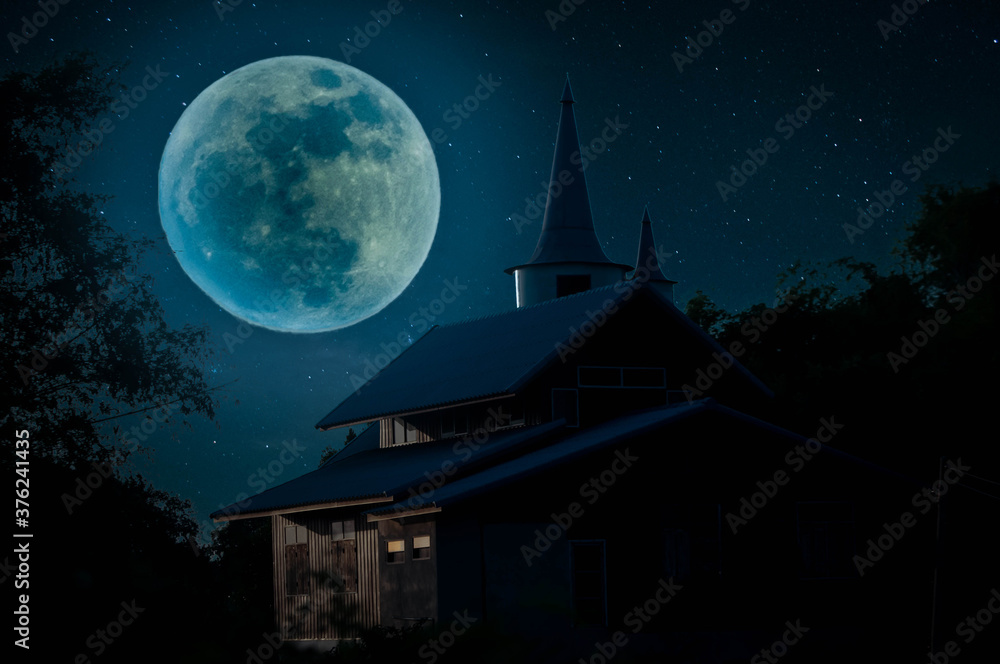 Fototapeta premium house in the night