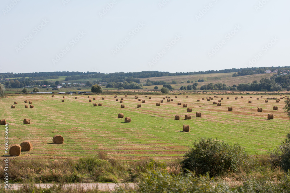 field of cut grass. Dry grass collected in a haystack. Lots of boulders on the field field of cut grass. Dry grass collected in a haystack. Lots of boulders on the field