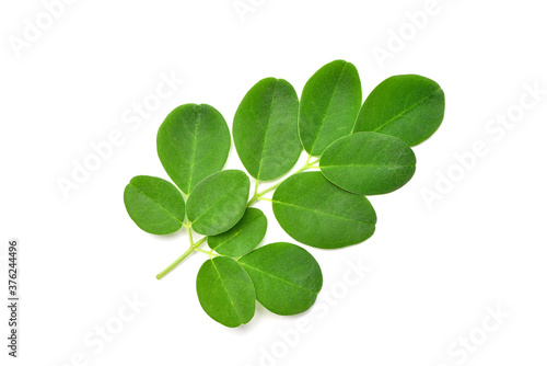 Flat lay (top view) Close-up of Fresh green Moringa leaves isolated on white background.
