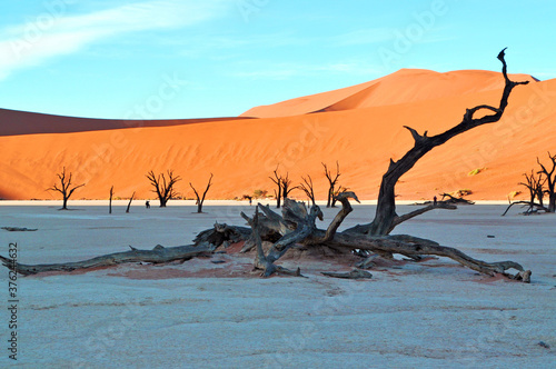 Sonnenaufgang am Deadvlei in Namibia