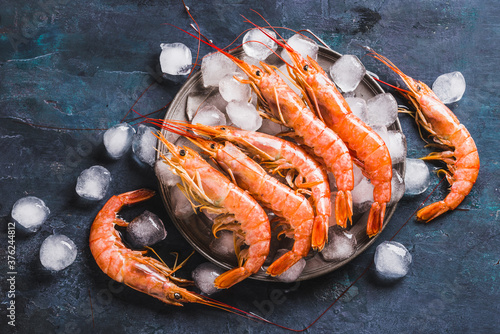 Wild red Argentine shrimps or ocean jumbo shrimps on ice dark background copy space. photo