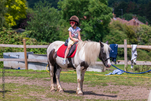 Horseback riding, lovely equestrian - young girl is riding a horse