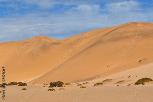 Dünen in der Namibwüste in Namibia