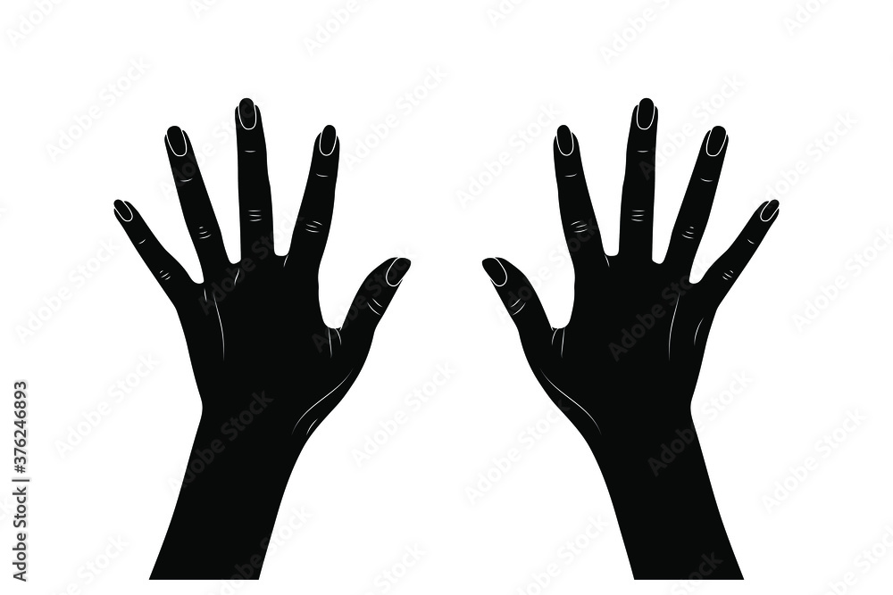 Vector sketch illustration eps10 - women's hands.