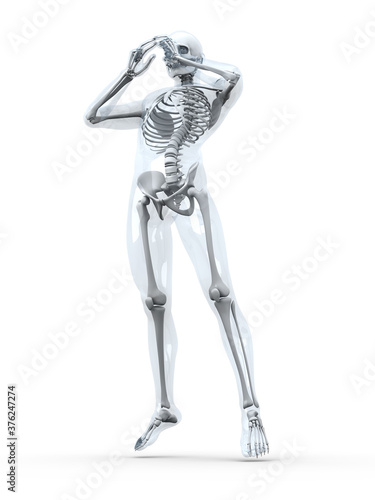 Male Human anatomy visualisation