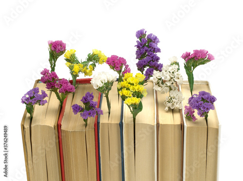Old books with flowers on white background