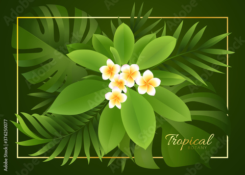 Vector design with exotic palm leaves and colorful plumeria flowers on dark background