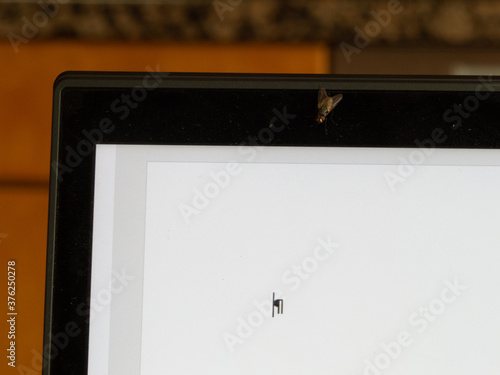 Принти на полотні Fly sitting on computer screen with blank word processing document open