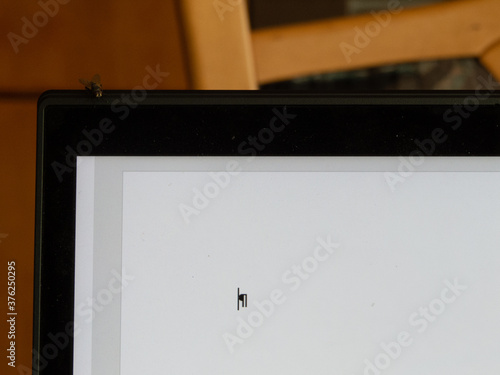 Fly sitting on computer screen with blank word processing document open photo