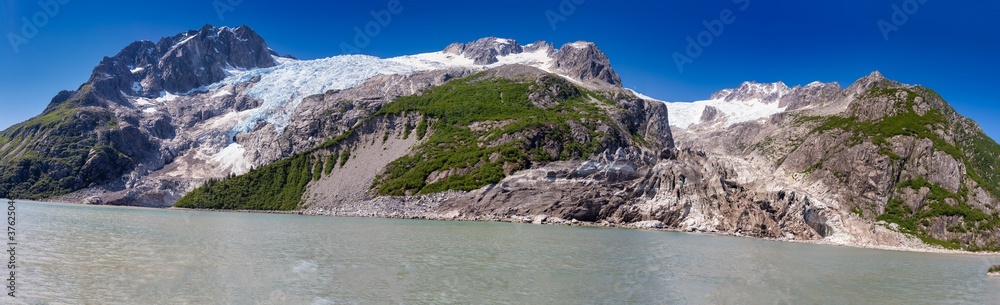 Obraz premium Seward Glaciers Sea Wildlife Alaska