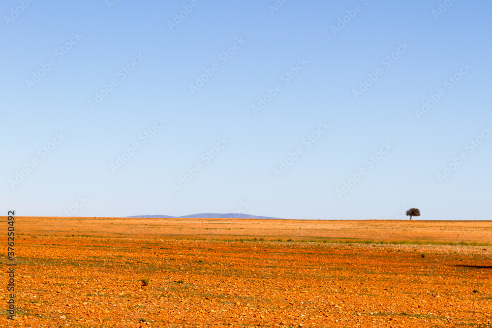 Landscape of ploughed field at Zebra near Oudtshoorn South Africa