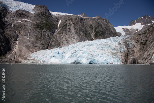 Wallpaper Mural Seward Glaciers Sea Wildlife Alaska Torontodigital.ca