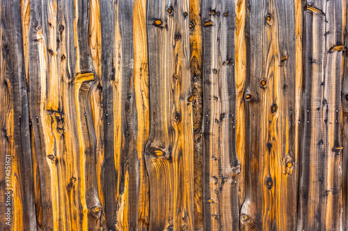 Fond vieux bois noueux de cyprès 