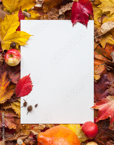 Wallpaper Mural Flat white A4 paper sheet lying in front of an autumn composition with colorful foliage and autumn decoration frame season thanksgiving festivity invitation letter sale social media marketing Torontodigital.ca