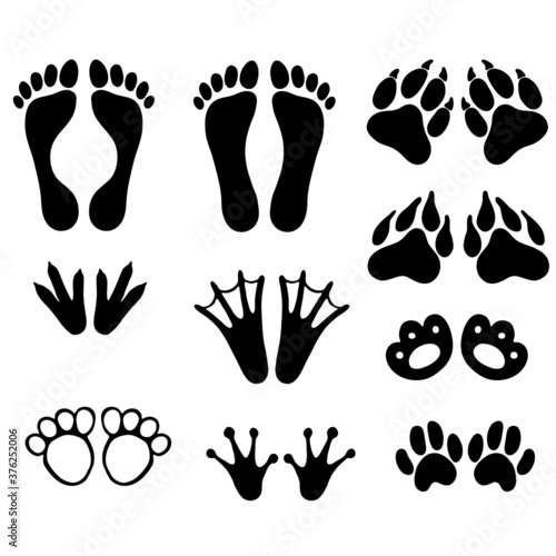 vector illustration, drawing of different traces in black, template, ornament for tattoo, isolate on a white background