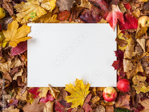 White A4 sheet of paper lying horizontally in front of an autumn composition with colorful leaves and autumnal decoration design thanksgiving festivity invitation letter sale social media marketing