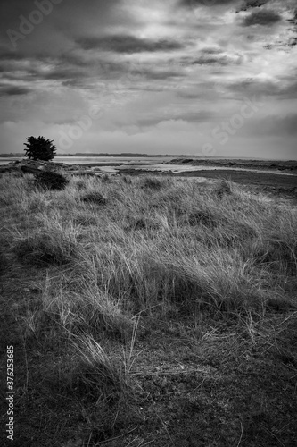 reserve naturelle de la pointe d agon