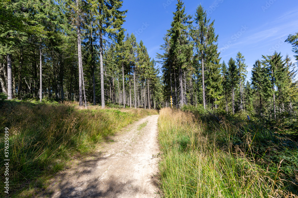 Hiking trail in Beskid Sadecki in Poland, mountains in summer landscape Hiking trail in Beskid Sadecki in Poland, mountains in summer landscape