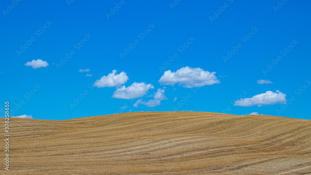 Fototapeta premium Val d'orcia, Tuscany