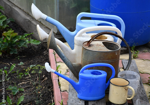 Old garden watering cans stand in a row on a wooden stand. Plastic and metal watering cans. © Olga