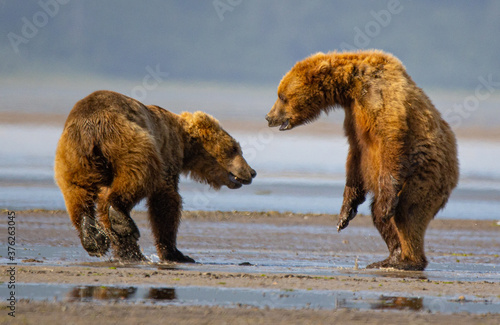 Alaska, Lake Clark National Park, Seward, Homer