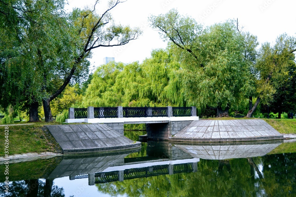 Fototapeta premium bridge in the park