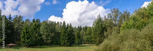 Beautiful forest landscape in summer. Tall green trees at the edge of the clearing. Blue sky and white clouds. Wooden shed for outdoor picnic and grilling. © GenоМ.