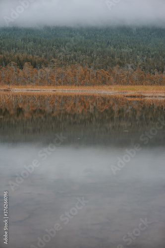 Surreal foggy landscape with forest lake and misty clouds.