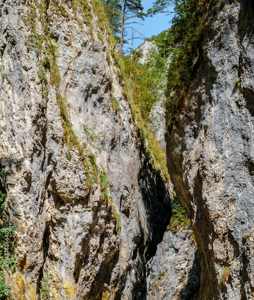 Ramet gorges from Transylvania, Trascau mountains, Alba county, Romania